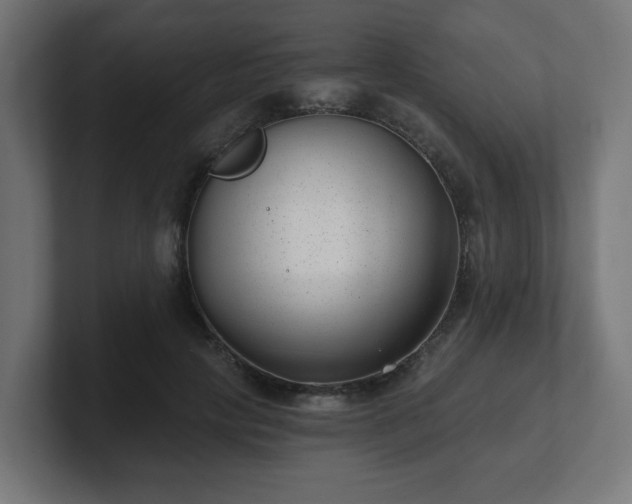 X0000101650649200807171254