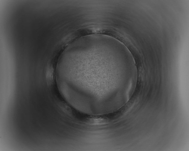 X0000101650650200807171254