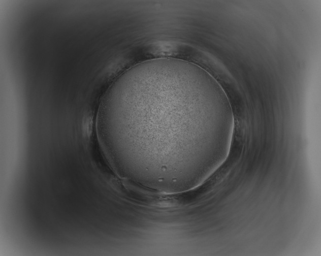 X0000101650652200807171254