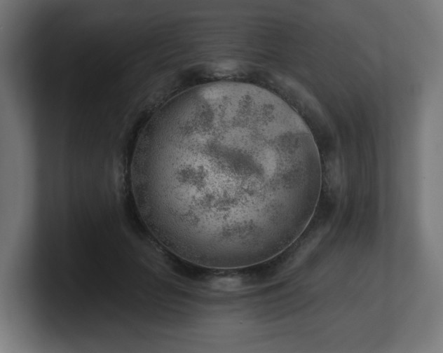 X0000101650653200807171254