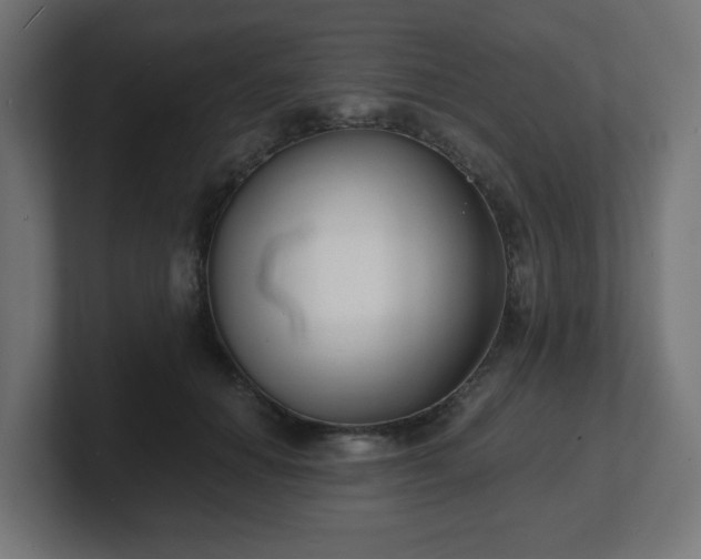 X0000101650654200807171254