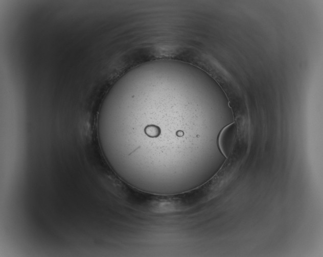 X0000101650655200807171254