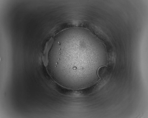 X0000101650656200807171254