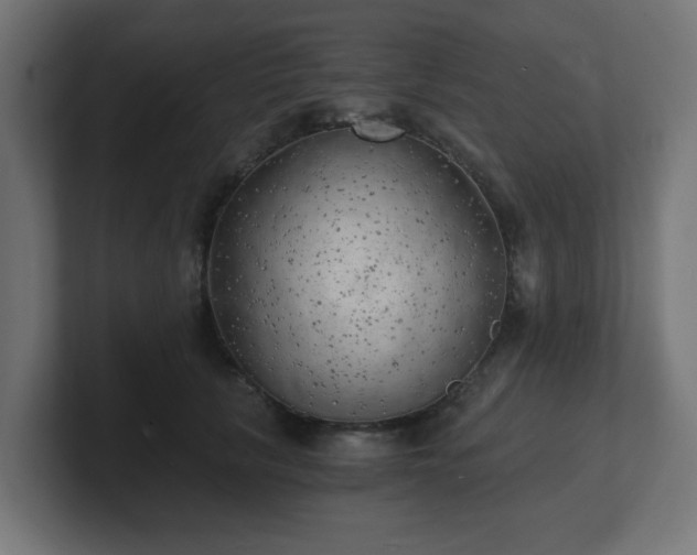 X0000101650657200807171254