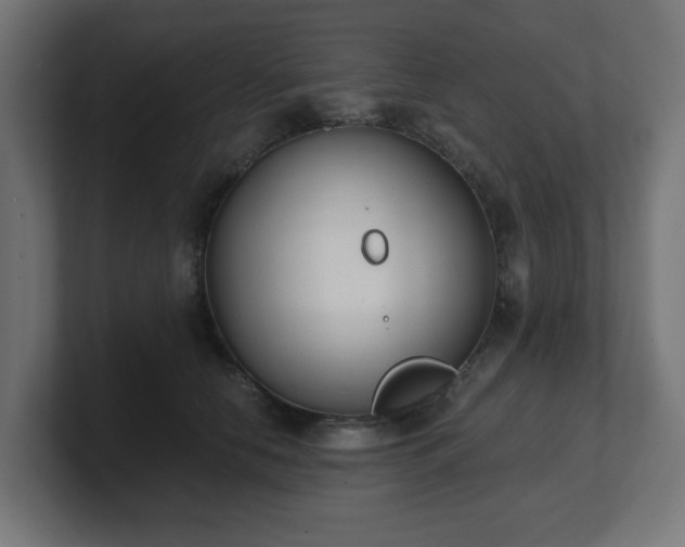 X0000101650658200807171254