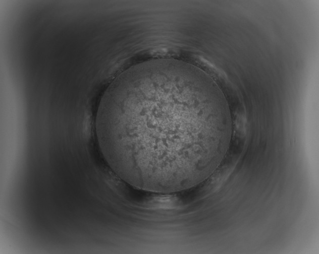 X0000101650659200807171254