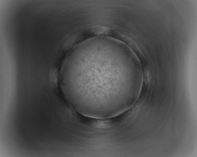 X0000101650664200807171254