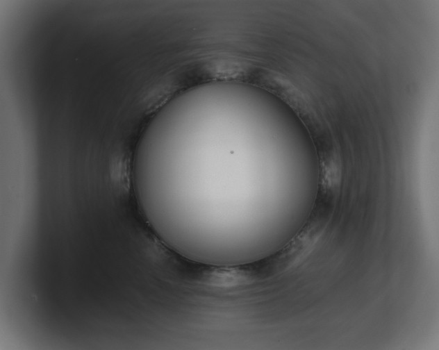 X0000101650666200807171254