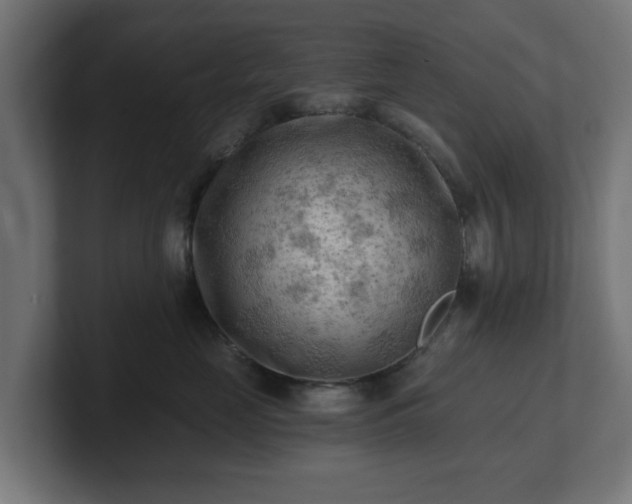 X0000101650669200807171254