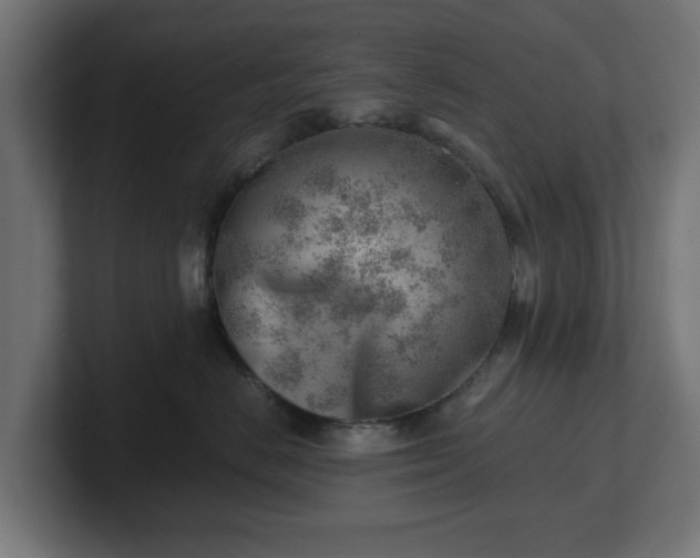 X0000101650670200807171254