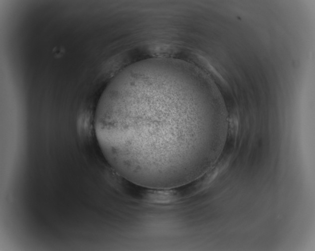 X0000101650671200807171254