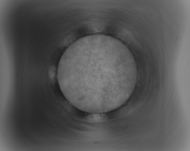 X0000101650672200807171254