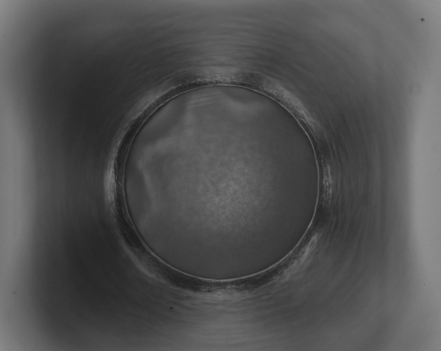 X0000101650674200807171254