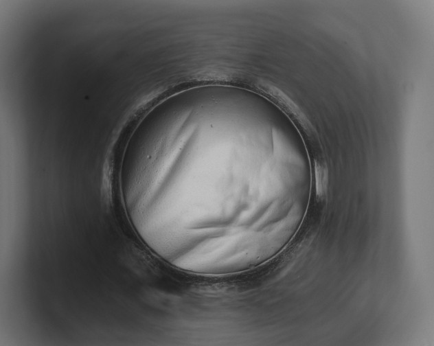 X0000101650675200807171254