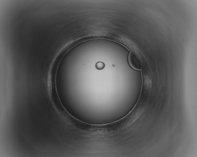 X0000101650676200807171254