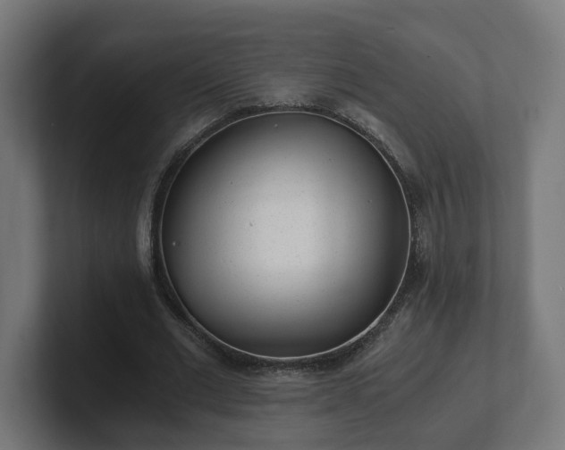 X0000101650677200807171254