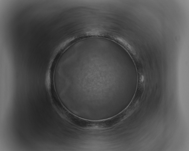 X0000101650678200807171254