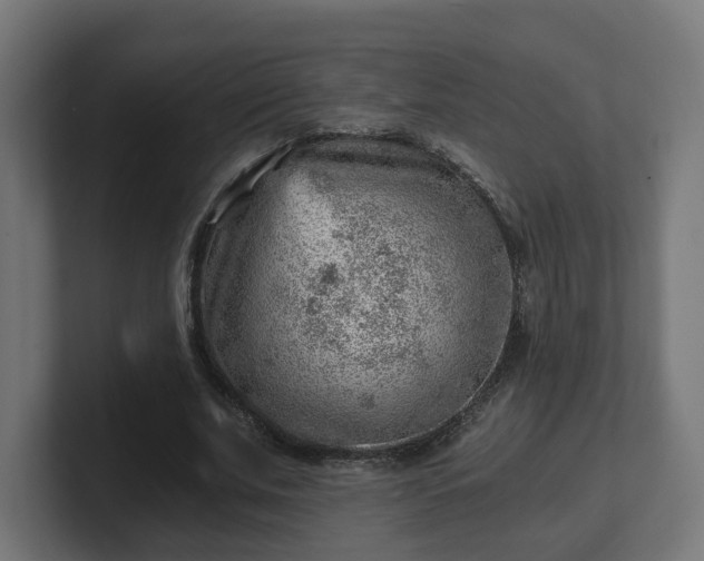 X0000101650679200807171254