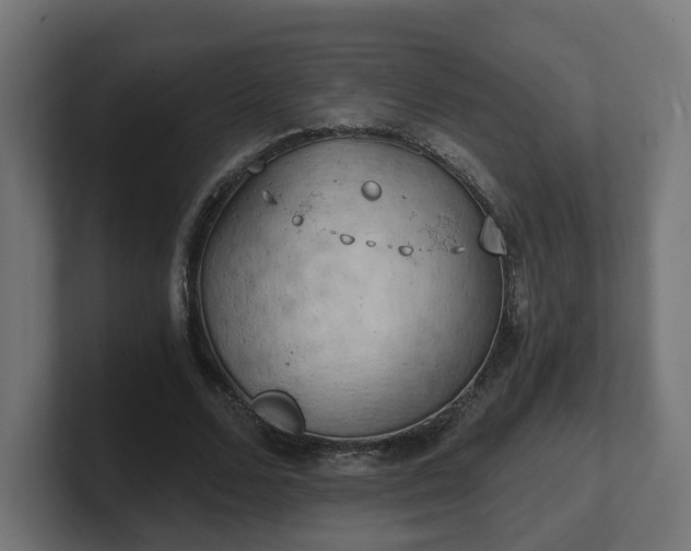 X0000101650680200807171254