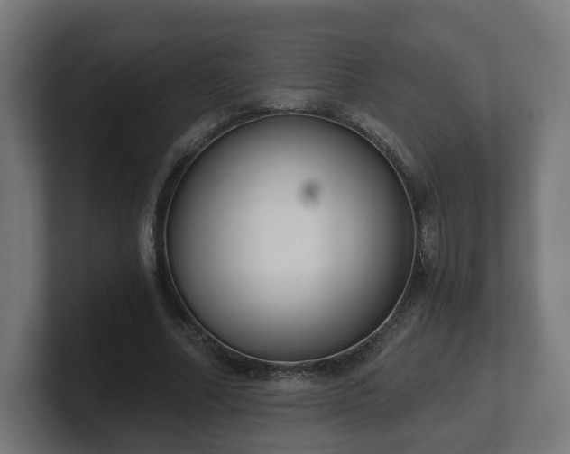 X0000101650682200807171254