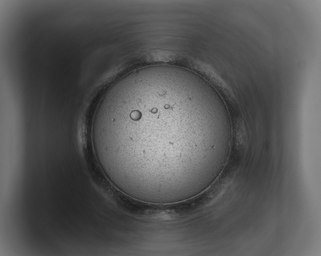 X0000101650683200807171253