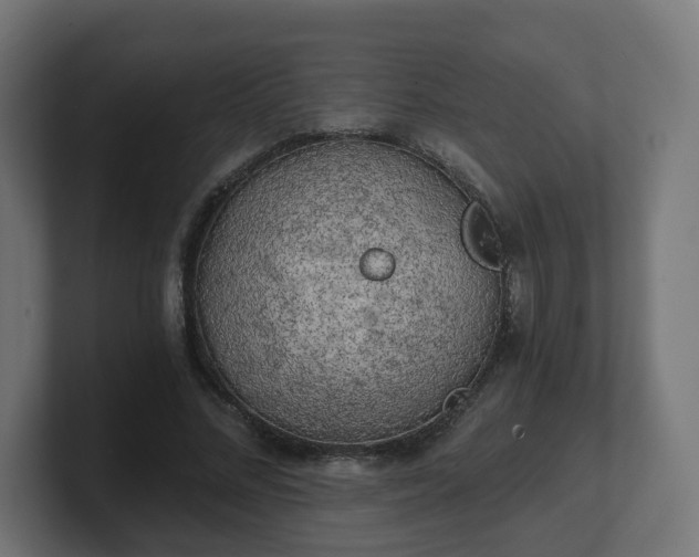 X0000101650684200807171253