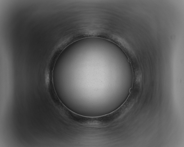 X0000101650685200807171253