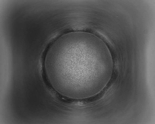 X0000101650687200807171253