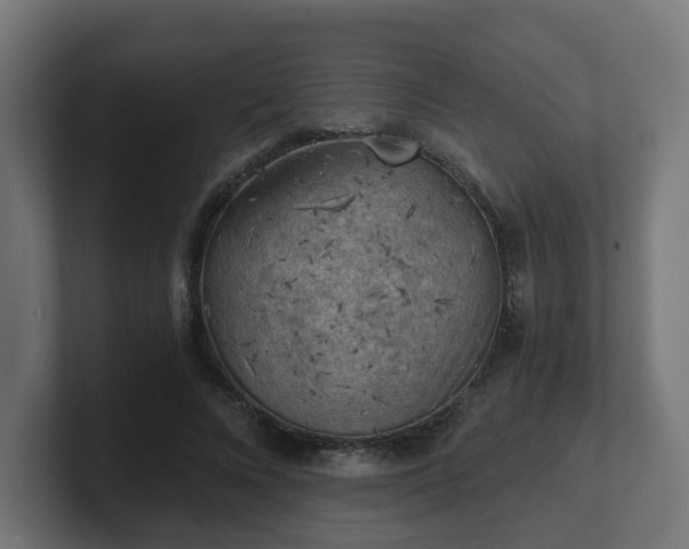 X0000101650688200807171253