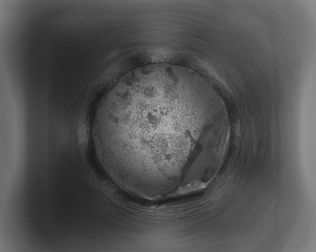 X0000101650691200807171253