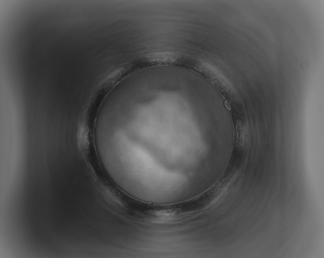 X0000101650692200807171253