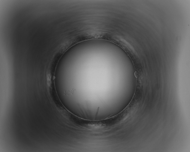 X0000101650693200807171253