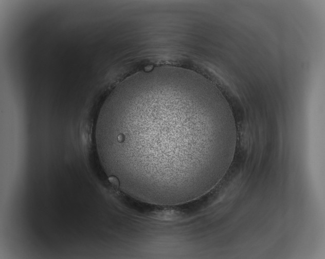 X0000101650695200807171253