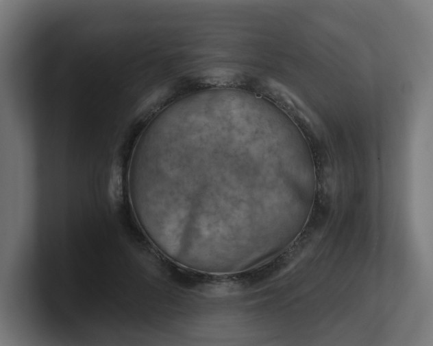 X0000101650696200807171253