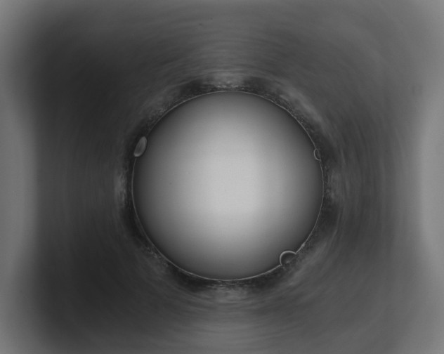 X0000101650697200807171253