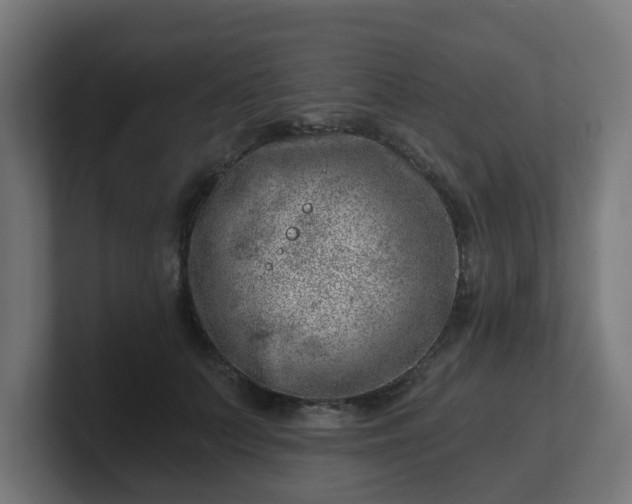 X0000101650703200807171253