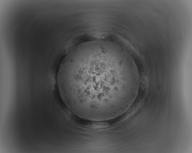 X0000101650707200807171253