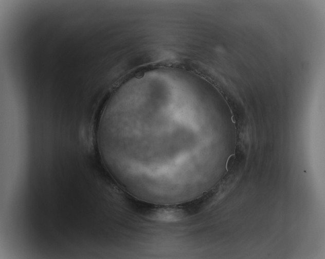 X0000101650708200807171253