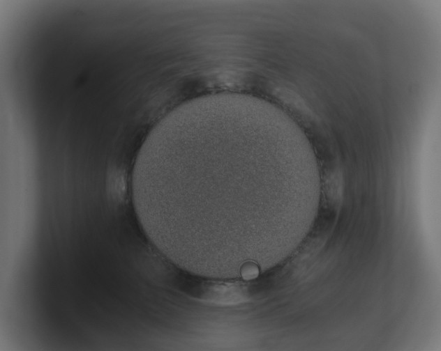 X0000101650709200807171253