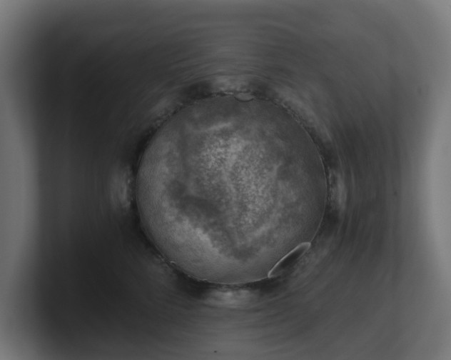 X0000101650712200807171253