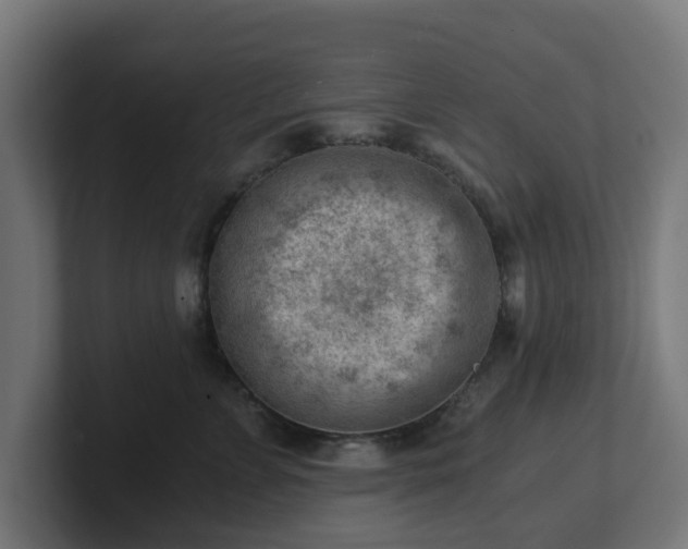 X0000101650715200807171253