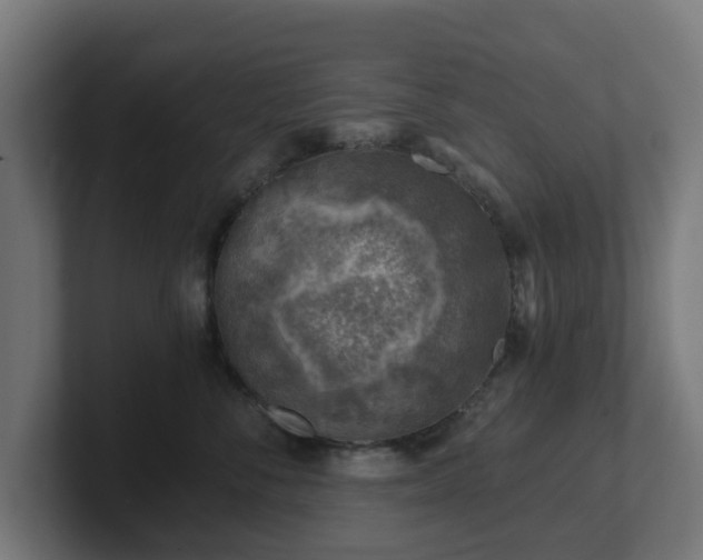 X0000101650716200807171253