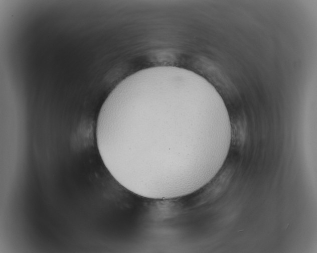 X0000101650717200807171253