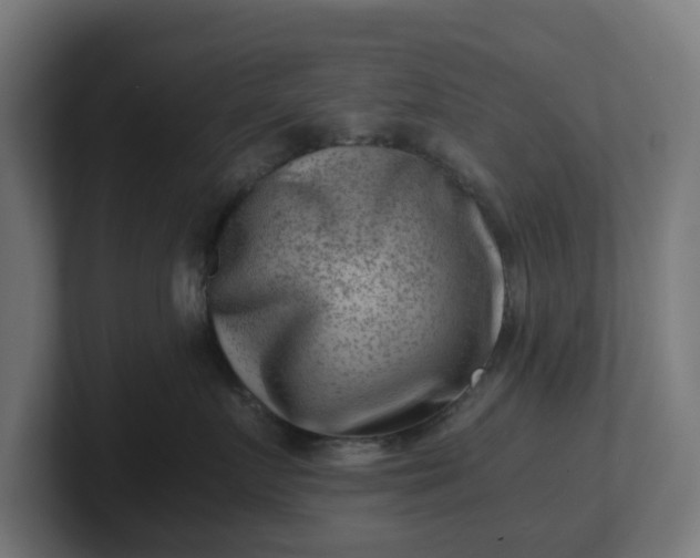 X0000101650719200807171253