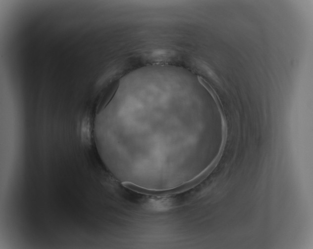 X0000101650720200807171253