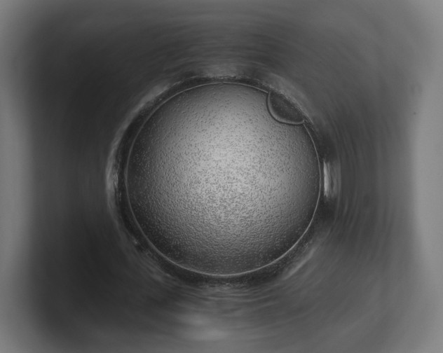 X0000101650723200807171252