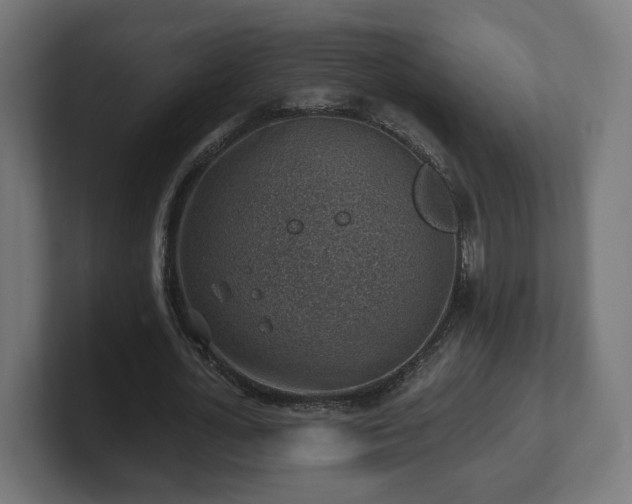 X0000101650724200807171252