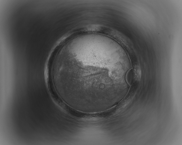 X0000101650726200807171252