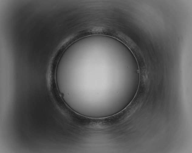 X0000101650728200807171252