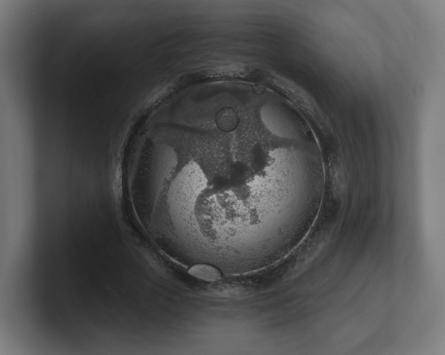 X0000101650729200807171252